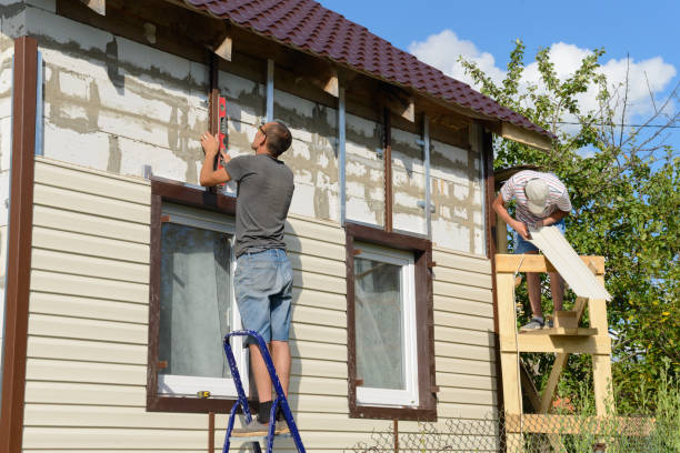 Best Insulated Siding Installation  in Jal, NM