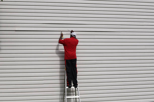 Best Custom Trim and Detailing for Siding  in Jal, NM